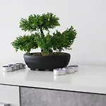 Ana Lejlighed *
